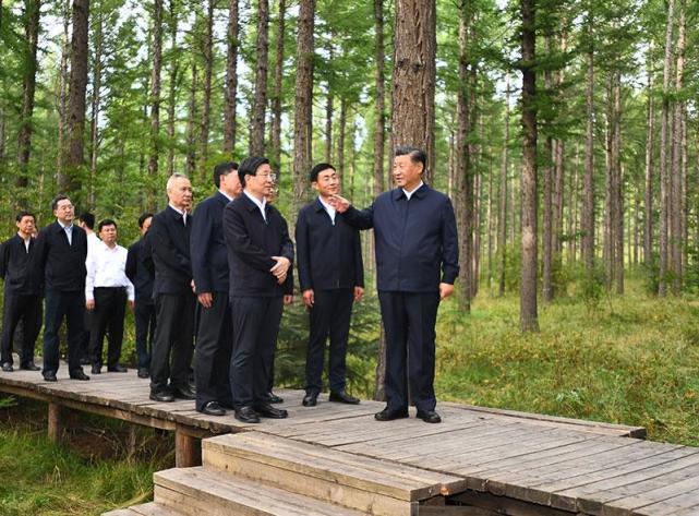 不負青山的時代回響——2021年習近平總書記關心林草工作綜述